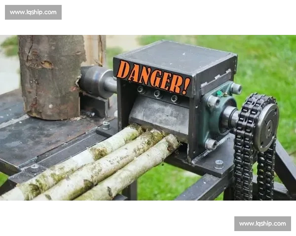 国外高效伐木：技术如何做到省时省力？